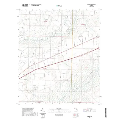 2021 Map of Floridale, 2021 Print