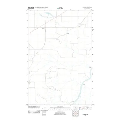 2011 Map of Floweree, 2011 Print