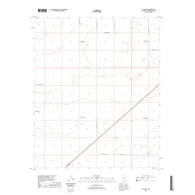 2020 Map of Floyd SE, 2020 Print