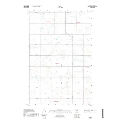 2020 Map of Fonda, 2020 Print