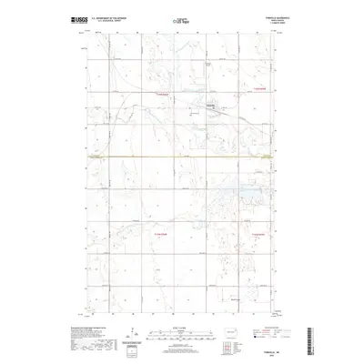 2020 Map of Fordville, 2020 Print