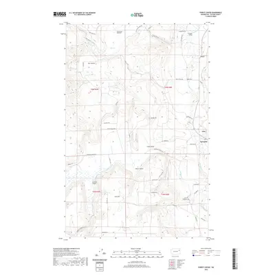 2020 Map of Forest Center, 2020 Print