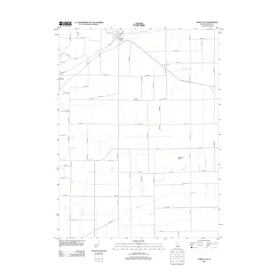 2012 Map of Forest City, 2012 Print