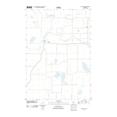 2010 Map of Forest City, 2010 Print