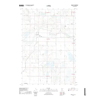 2019 Map of Forest City, 2019 Print