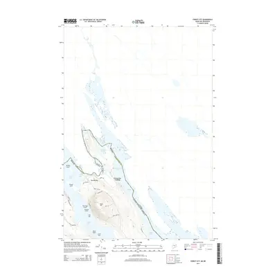 2014 Map of Forest City, 2014 Print
