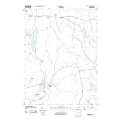 2010 Map of Forest City, 2010 Print