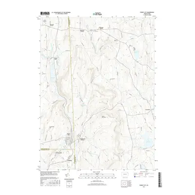 2016 Map of Forest City, 2016 Print