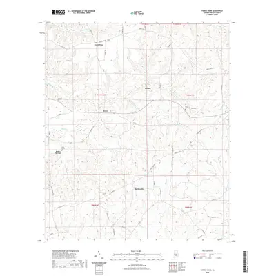 2020 Map of Forest Home, 2020 Print