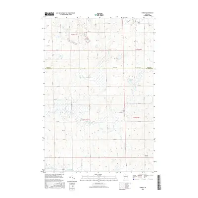 2015 Map of Forest, 2015 Print