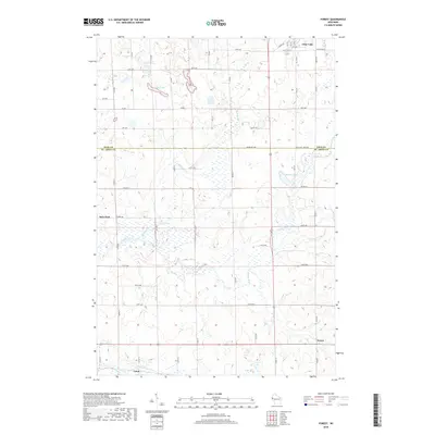 2018 Map of Forest, 2018 Print