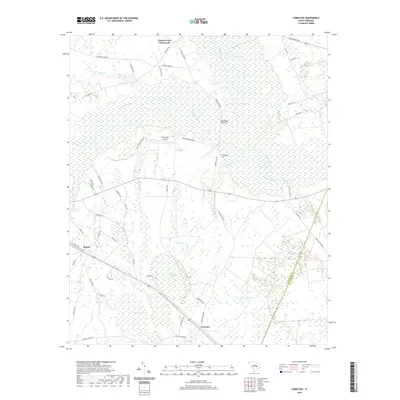 2020 Map of Foreston, 2020 Print