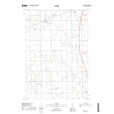 2019 Map of Foreston, 2019 Print