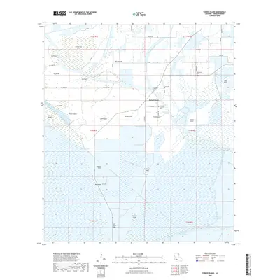 2020 Map of Forked Island, 2020 Print
