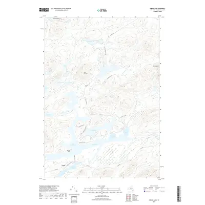 2019 Map of Forked Lake, 2019 Print