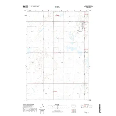 2020 Map of Forman, 2020 Print