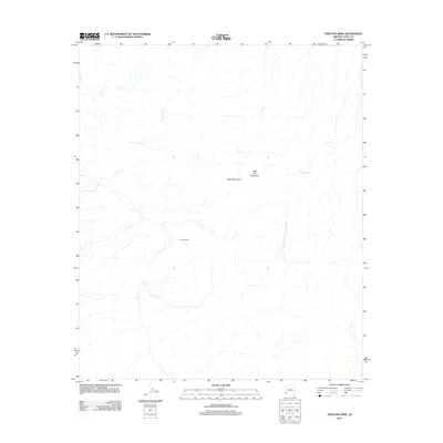 2011 Map of Fortuna Mine, 2011 Print