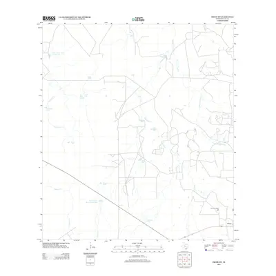 2013 Map of Freer NW, 2013 Print