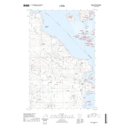 2020 Map of Friday Harbor, 2020 Print