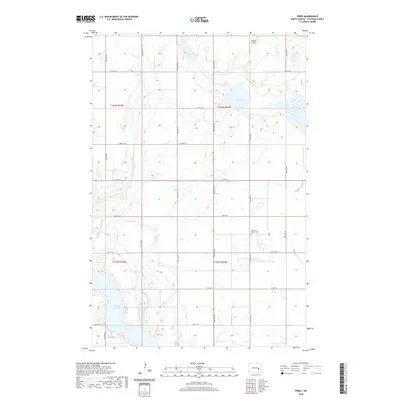 2020 Map of Fried, 2020 Print