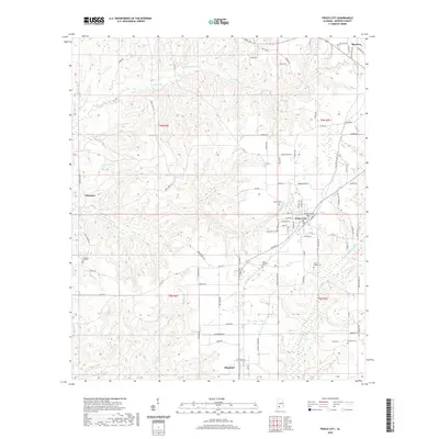 2020 Map of Frisco City, 2020 Print