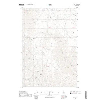 2020 Map of Frye Point, 2020 Print