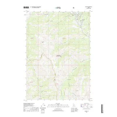 2020 Map of Galena, 2020 Print
