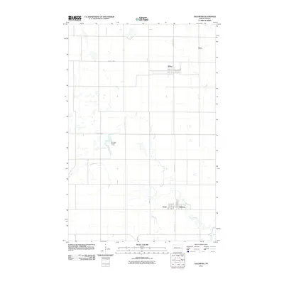 2011 Map of Galesburg, 2011 Print