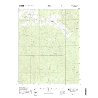 2020 Map of Gallina, 2020 Print