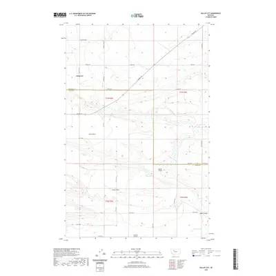 2020 Map of Gallup City, 2020 Print