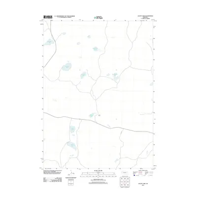 2011 Map of Gaunt Lake, 2011 Print