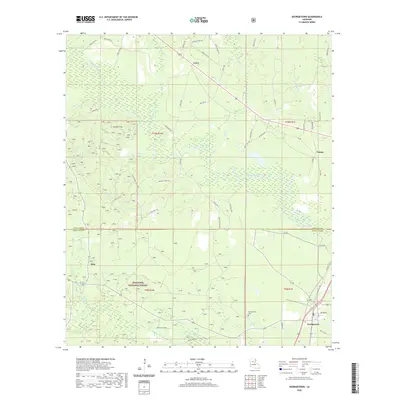 2020 Map of Georgetown, 2020 Print