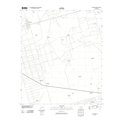 2010 Map of Goldsmith, 2010 Print