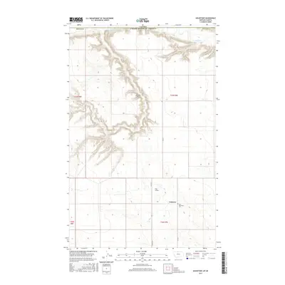 2017 Map of Goldstone, 2017 Print