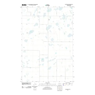 2011 Map of Goldwin SW, 2011 Print