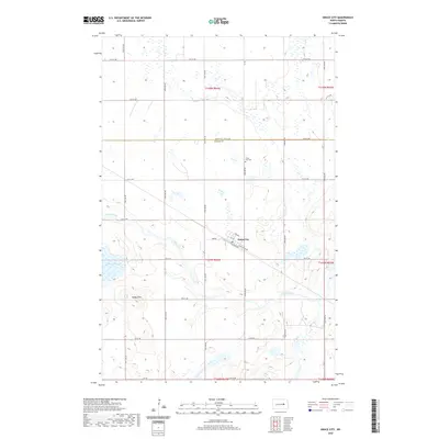 2020 Map of Grace City, 2020 Print