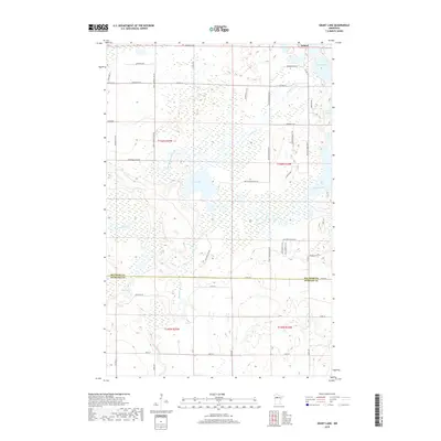 2019 Map of Grant Lake, 2019 Print