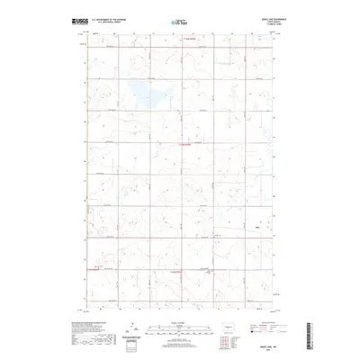 2020 Map of Grass Lake, 2020 Print