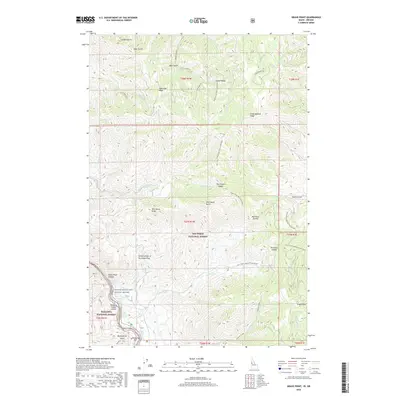 2020 Map of Grave Point, 2020 Print