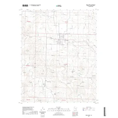 2020 Map of Green Forest, 2020 Print