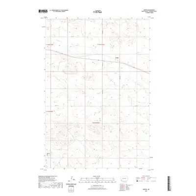 2020 Map of Griffin, 2020 Print
