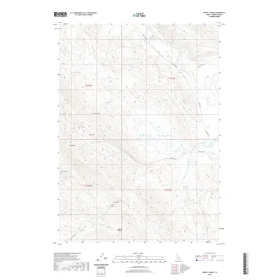 2020 Map of Grizzly Creek, 2020 Print