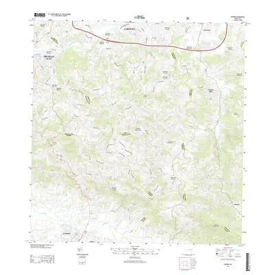 2013 Map of Gurabo, 2013 Print