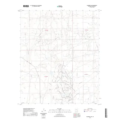 2020 Map of Hackberry Lake, 2020 Print