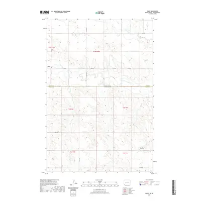 2020 Map of Haley, 2020 Print