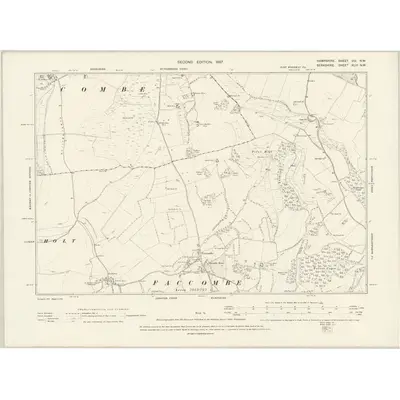 1894 Map of Hampshire & Isle of Wight VIII.NW, 1897 Print