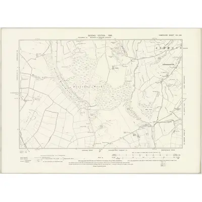 1894 Map of Hampshire & Isle of Wight VIII.SW, 1896 Print