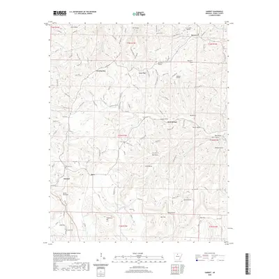 2020 Map of Harriet, 2020 Print