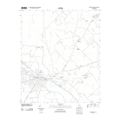 2011 Map of Hawkinsville, 2011 Print