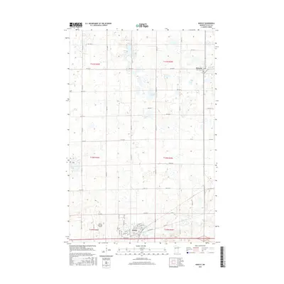 2016 Map of Hawley, 2016 Print